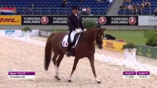 L'équipe de France du CDIO de Hickstead sera composée de ...