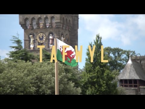 PROMO TAFWYL 2017