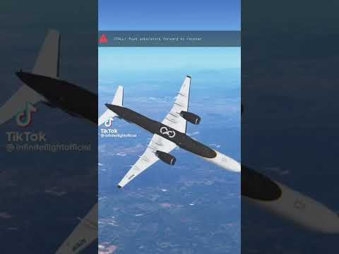 pov: you are a new player in infinite flight