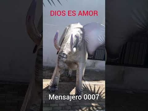 caminando por las calles de EL PAUJIL CAQUETA