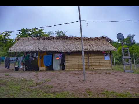 Waking up in the amazon