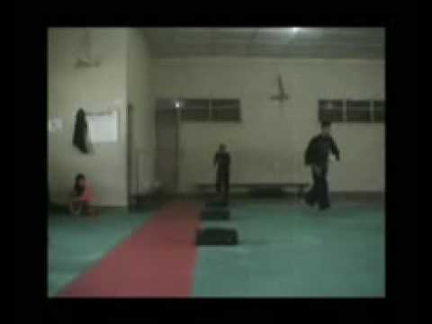 Tehnik Pencak Silat  PERSAUDARAAN SETIA HATI TERATE 
