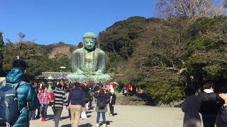 preview picture of video 'Kamakura Great Buddha'