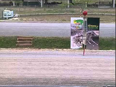 IPPODROMO DEI PINI FOLLONICA-19 MAGGIO 2014-PROVA DI RIQUALIFICA