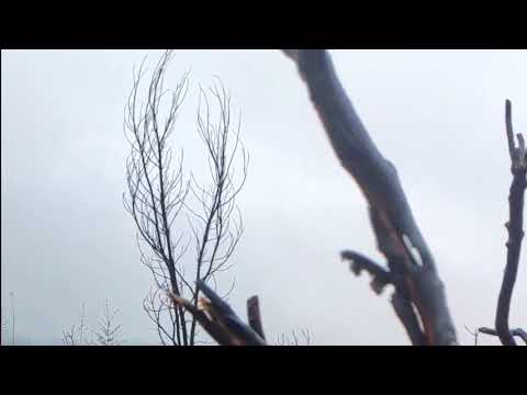 Abstract Eon - Las fases de la Luna (live recording/loop) - LIVE from Cuesta Blanca, Argentina