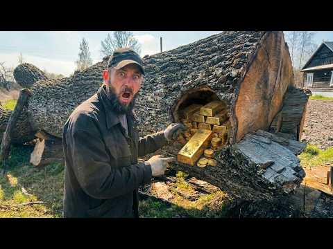 Shocking Stash Inside an Ancient Tree