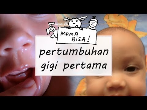 Cara menghilangkan lemak tanpa sedot lemak Varietas lemak dalam diet