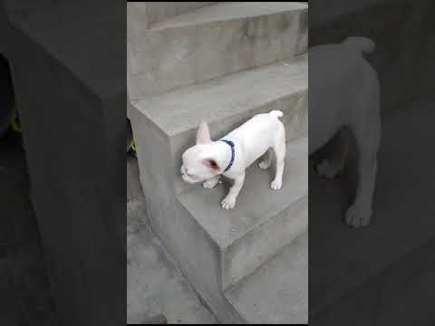 stella ❤️❤️da bachpan