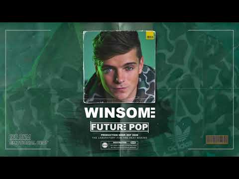 [SOLD] Winsome | Martin Garrix x David Guetta x Justin Bieber Type Beat | 9439