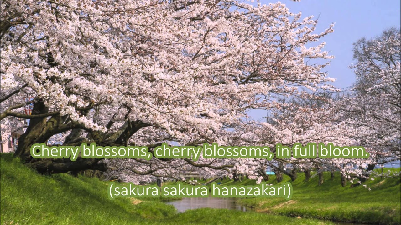 Sakura Sakura Mp3 Download 320kbps