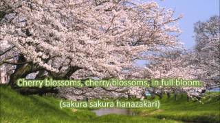 Japanese Folk Song #9: Cherry Blossoms (さくらさくら/Sakura Sakura)