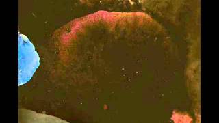 Susanna Wallumrod, Will Oldham - Without you