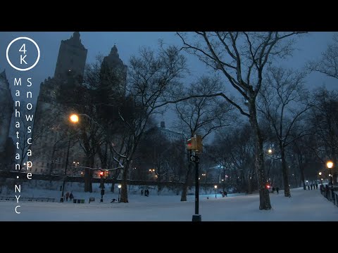 NYC Walking in the Snow - Snowscape in Central Park, Manhattan, New York 4K
