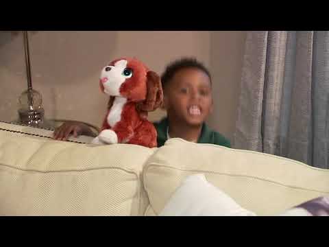 3-year-old left behind at RodeoHouston on HISD field trip