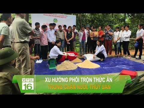 Sử dụng thức ăn công nghiệp gắn với chuỗi cung cầu trong nuôi trồng thủy sản