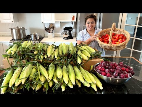 It was exhausting but worth it! Preserving a Years Worth of Corn!