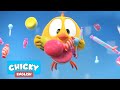Where's Chicky? Funny Chicky 2021 | CANDY LAND | Chicky Cartoon in English for Kids