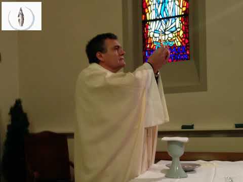 Homilía. XX Domingo T.O., Ciclo C 18/08/2019 P. Santiago Martín, FM