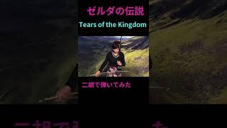 ゼルダの伝説【Tears of the Kingdom】二胡 #erhu #erhumusic #gamemusic #tearsofthekingdom #ティアキン