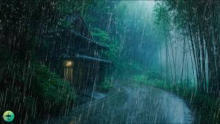 Sono Maravihoso - Chuva Relaxar na Floresta de Bambu, Barulho de Chuva + Trovoadas à Noite, ASMR