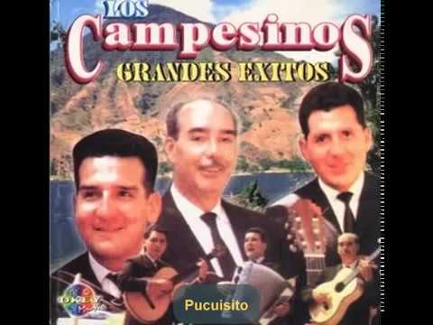 Pucuycito - Los Errantes