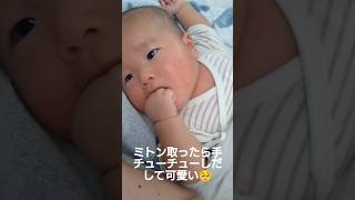 赤ちゃんが手をチューチューしてるだけ