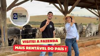 The secrets of the MOST PROFITABLE farm in the country!