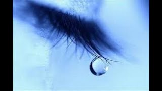 HEADSTRONG feat. Stine Grove - Tears (Radio Edit) [Lyric Video]