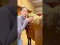 The Harsh Truth About Owning A Horse Shorts Animals
