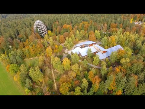 "Der Bayerische Wald -  da wo er am schönsten ist"