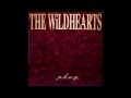 THE WiLDHEARTS - NiTA NiTRO 