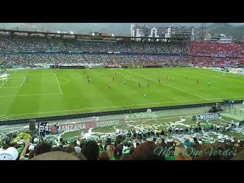 "Nacional 2-0 Medellin - Liga | Salida Los Del Sur | Festejo de la hinchada con los jugadores" Barra: Los del Sur • Club: Atlético Nacional