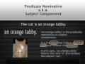 Predicate Nominative