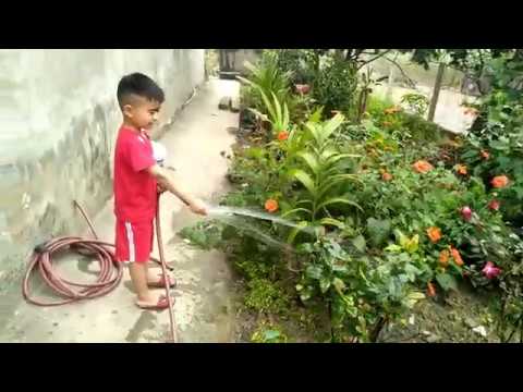 Quân ĐZ / cách làm cháu ngoan bác hồ tưới rau giúp mẹ