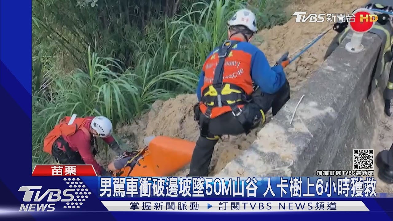 男駕車衝破邊坡墜50M山谷 人卡樹上6小時獲救