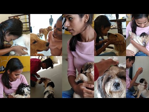 The best day in my life♥️🐶| Puppy Cuddles | Pranali Sonawane