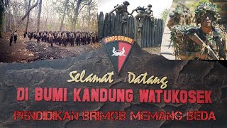 Download lagu PENDIDIKAN BRIMOB MEMANG BEDA | PUSDIK BRIMOB WATUKOSEK mp3