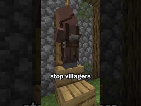 Villagers Can’t Open this Door in Minecraft