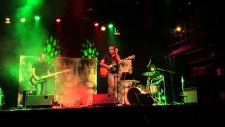 Alis - Material de disección