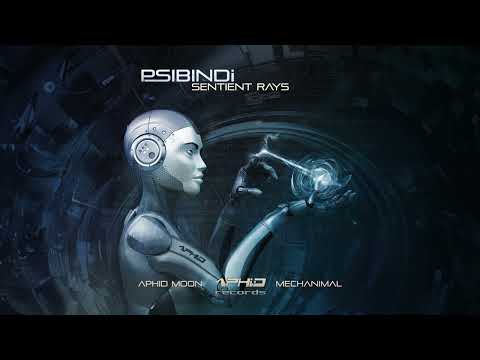 Mechanimal & Psibindi - Luminous Rays [Aphid Records]