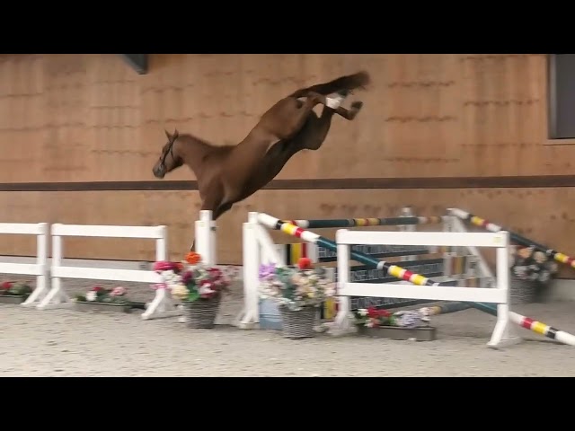 Jumping