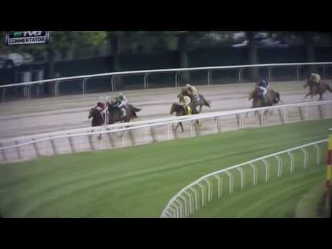 COMMENTATOR S,G STAKES $200,000 2017 - WEEKEND HIDEAWAY !!!