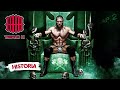 La HISTORIA de TRIPLE H (2002-2020) | Capítulo 2