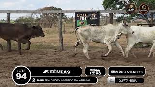 Vídeo LOTE 94