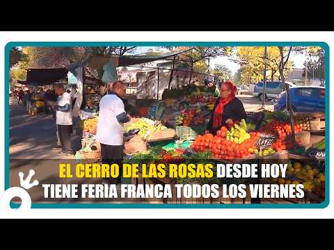 Nueva feria franca en Córdoba: precios, puestos y todo lo que se consigue en el Cerro de las Rosas