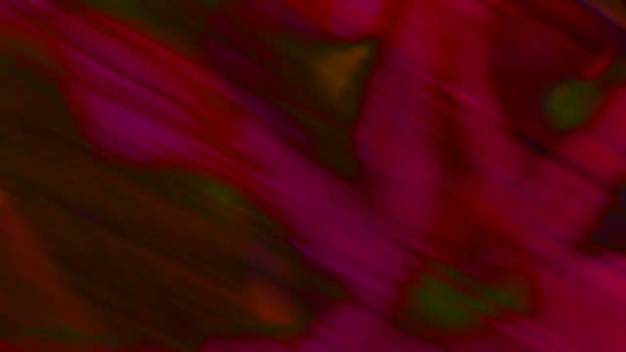 Rushes in the Tulip Garden