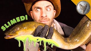 SLIMED by a GIANT EEL! by Brave Wilderness