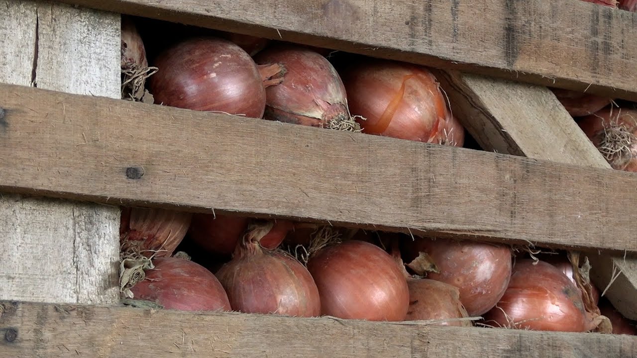 Miniatura do YouTube