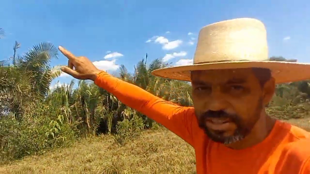 Como controlar fogo na sua propriedade. #incêndio #fogo #meioambiente