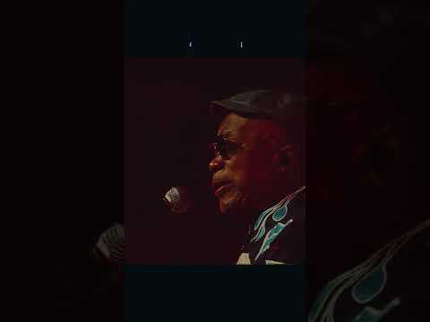 Obrigado, São Paulo! #shorts